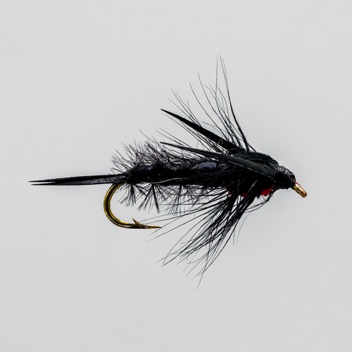 Black Hellgramite Nymphs