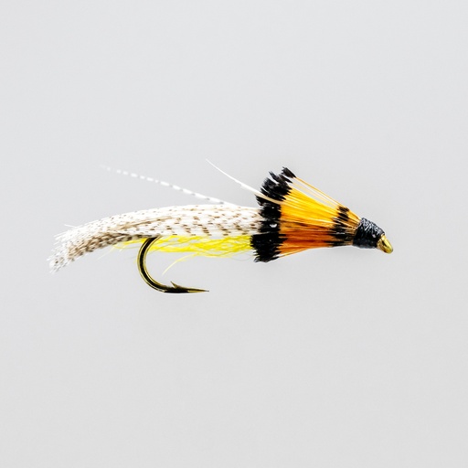 Fiset Streamer