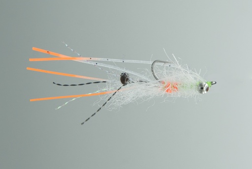 Ascension Bay Mantis Ghost Shrimp