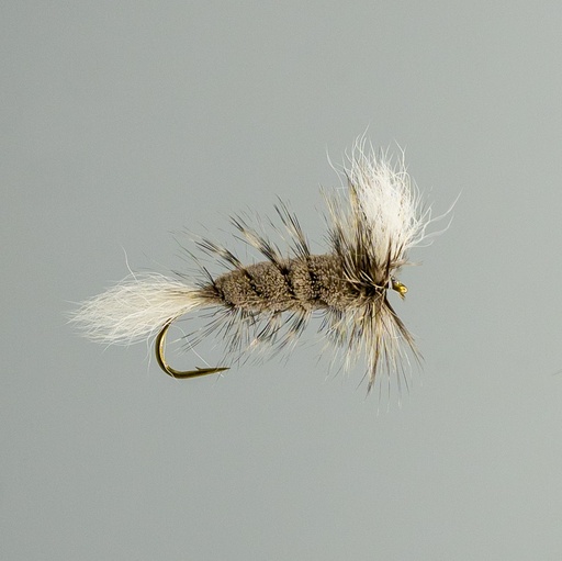 Grizzly Salmon Bomber